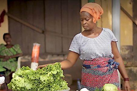 38 524 crédits accordés, 3,2 milliards investis :   Le Togo propulse les petites entreprises féminines vers la relance