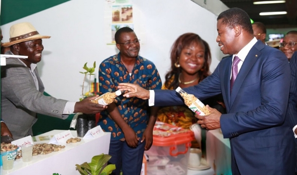 Promotion de l'entrepreneuriat : Le Togo crée l'Agence de développement des TPME