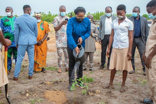Plus de 5 millions d'arbres mis en terre en 2022 au Togo