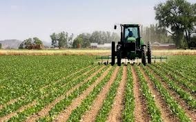 Pour plus de richesse au Togo : Le gouvernement valorise davantage les productions agricoles et minières locales
